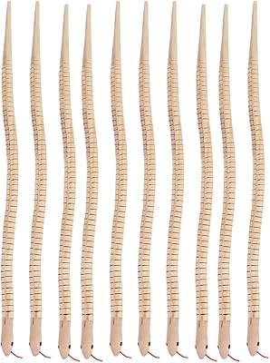 Alipis 10 pieces in unfinished wood, virgin snake supplies of flexible wooden crafts to paint festive decorations of animal models for children.. DIAYTAR NIGERIA promises affordability and variety with every purchase, delivered in 5-8 days.