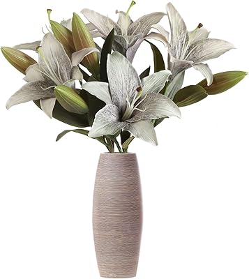IBOBO 5 -piece artificial lily flowers, antique gray green lily flowers, silk flowers for house interior decoration, lily -tiger flowers, floral arrangement, wedding festival decoration, house decoration (green gray).. Nigeria's most loved e-commerce platform delivers affordable shopping solutions to your doorstep.