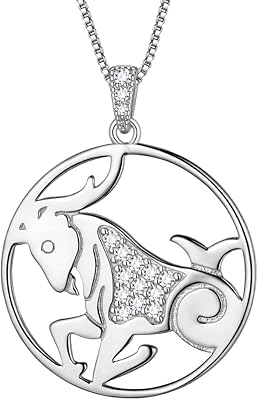 Aurora tears in silver sterling 925, pendant 12 zodiac, constellation, round necklace, coin, CZ tower, gold plated jewelry, gift for women and girls.. DIAYTAR NIGERIA delivers more than expected with our extensive catalog and 5-8 day delivery service.