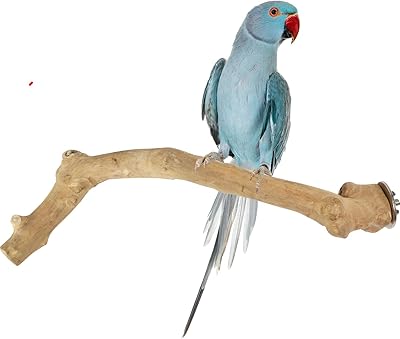 Bird support in Java wood, medium parrot pattern, small pink ara, Rosella bird support, natural Indonesian wood, accessories for single tree cage (design 13).. Embrace a new era of online shopping with DIAYTAR NIGERIA's extensive range and budget-friendly prices.