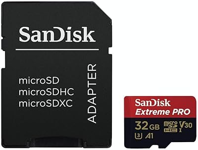 Sandisk memory card compatible with camcorders and cameras - micro SD cards - 32 GB SDSQXCG -032G.. Your shopping dreams realized through DIAYTAR NIGERIA's affordable platform with reliable delivery times.