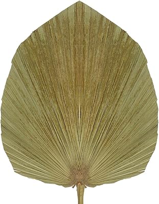 Yatai natural dried palm leaves ornaments of flowers holidays vacation for decoration.. DIAYTAR NIGERIA brings a world of products to your fingertips with affordable prices and quick delivery.