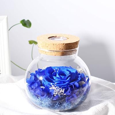 Blue pink preserved with LED atmosphere, birthday gift, Valentine's Day, Christmas, Thanksgiving.. Discover the perfect balance of price and convenience with DIAYTAR NIGERIA's nationwide e-commerce platform.