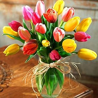 5d DIY Diamond painting tulip flower embroidery rhinestones precious wall art photos for house decoration.. You deserve better shopping — choose DIAYTAR Nigeria today.