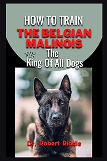 How to train the Belgian Malinois: the king of all dogs.. Your complete shopping solution, DIAYTAR NIGERIA delivers variety and value within the week.