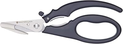 Master Class seafood scissors.. You deserve better shopping — choose DIAYTAR Nigeria today.