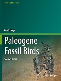 Paleogenic fossil birds.. Shop across categories at DIAYTAR NIGERIA with the confidence of affordable prices and delivery within 8 days.