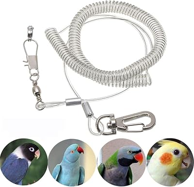 Bird anti-bunch harness, pilot training rope and leaves for outdoor training of all birds (5.5 mm).. DIAYTAR NIGERIA: Where affordability and variety meet with convenient delivery within 8 days.