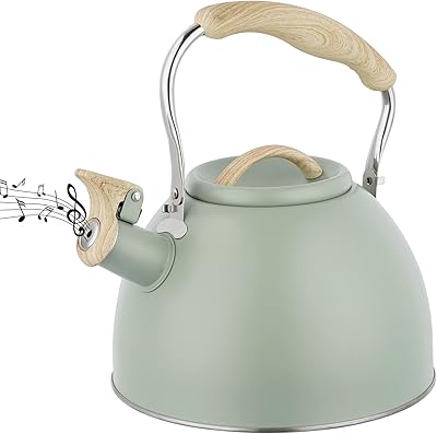 Sillyy kettle on a stove, 3L induction kettle, Silk stainless steel kettle, teapot for gas stove or induction stove.. DIAYTAR NIGERIA brings the marketplace experience online with affordable and reliable delivery service.