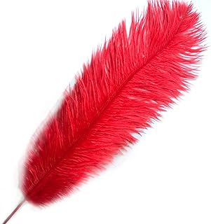 Long and soft ostrich feathers Size 20-24 inches (red).. DIAYTAR NIGERIA transforms wishes into deliveries with our affordable and reliable e-commerce platform.