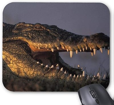 Cartoon mouse mat 190221-001 300*250*3 mm.. DIAYTAR NIGERIA: Where shopping dreams come true with budget-friendly prices and nationwide shipping.