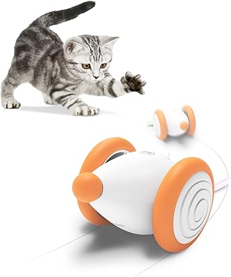 Interactive cheerble cat toy, smart mouse toy with LED flashing tail lights, intelligent toy for pet in automatic travel, rechargeable by USB, kitten toys, stimulates hunting and cat hunting instincts (orange).. Discover the convenience of DIAYTAR NIGERIA's vast e-commerce platform with delivery in just 5-8 days.