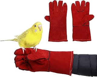 Vitang protection gloves in cowhide to train chewing birds, anti-scratches and anti-branches for parakeets, calopsittes, conures, lovebirds, parrots, pines, spaches, African and parakeets.. DIAYTAR NIGERIA delivers more than products - we deliver affordable shopping satisfaction nationwide.