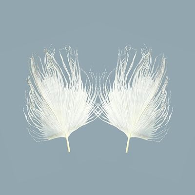 Yatai natural dried palm flowers for vacation decoration - white dried flowers bouquets - preserved flowers for vase decoration - decorative palm paper (2).. Nigeria’s trusted store online — DIAYTAR Nigeria never disappoints.