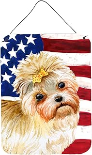 Murkie patriotic impressions to hang on the wall or the door.. DIAYTAR NIGERIA transforms online retail with our affordable platform and dependable shipping service.