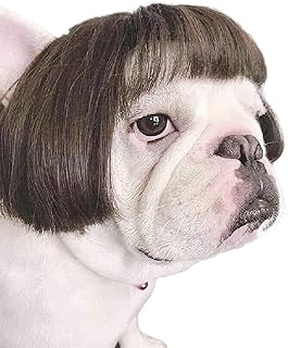 Castoyve dog wig, artificial cat costume accessories, small dog hairstyle for Halloween, festival party decoration, dressing toy.. DIAYTAR Nigeria: Your one-stop online shop with unbeatable prices and nationwide delivery in under 8 days.
