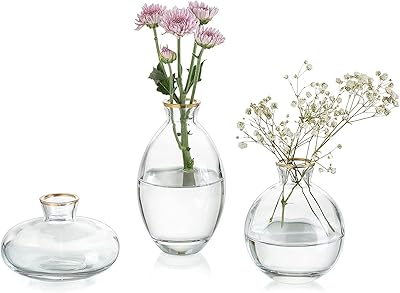 Glass vase with gold edge, 3 rooms/set, mini vases with modern decorative flowers, centerpiece for the house, the office, a wedding, a event, a table decoration (transparent with golden edge).. Discover shopping made simple with DIAYTAR NIGERIA's comprehensive platform and nationwide delivery service.