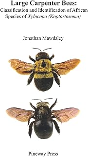Large carpenter bees: classification and identification of African species of xylocopa (koptortosoma).. Experience the future of online shopping with DIAYTAR NIGERIA's extensive product range and competitive pricing.