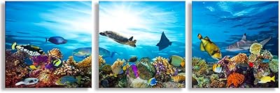 Wall art in 3 pieces with a view of the back of the ocean, a colored tropical reef fish turtle, art on canvas from the underwater world, modern and framed modern interior decoration, ready to hang.. No more overpriced stores — DIAYTAR Nigeria brings the best to your door.