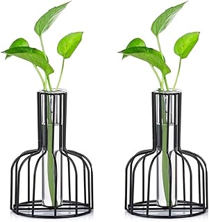 Black flower vase for glass propagation plants, metal frame, test tube for hydroponic plants, mini germs vase for the house, kitchen, desk, decoration of table.. Elevate your shopping experience with DIAYTAR NIGERIA's vast catalog and budget-friendly options.
