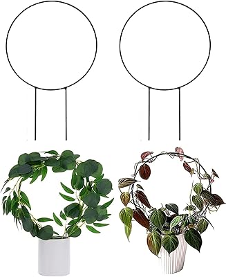 Goodrun Iron Garden Trellis for Climbing plants, anti -rust metal metal support, Trellis for interior plants, support supports for climbing plants for vine and flower pot decoration - 2pcs.. Your digital shopping ally, DIAYTAR NIGERIA offers extensive selection with budget-friendly delivery.