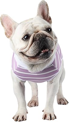 Due Felice DOG post-surgical recovery combination A piece for animals.. DIAYTAR NIGERIA delivers what you want at prices you'll love, all within 5-8 days nationwide.