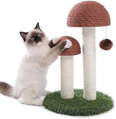 Griffing Petibella cat with a long mushroom design, with natural sisal scratches and an interactive ball for kittens and kittens (brown).. DIAYTAR NIGERIA brings the marketplace home to you with affordable prices and delivery in 5-8 days.