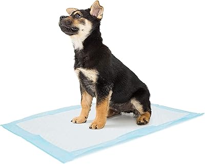 Momo Bear absorbent cushions for learning puppy cleanliness, non -slip and non -saving base (50 pieces - 60x45 cm).. Shop with purpose at DIAYTAR NIGERIA, where diverse selection meets budget-friendly nationwide delivery.