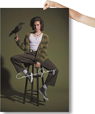 Idfine Conan Gray Poster Of Vintage Music Wall Decoration On Canvas For Living Room For Living Room.. Your everyday shopping companion, DIAYTAR NIGERIA offers unbeatable value with nationwide delivery.