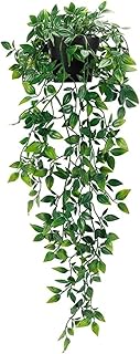 Haushex artificial ivy plants suspended from 34 inch, false ivy leaves, design for wall decoration, house, bedroom, patio, interior, exterior, shelf, desk (size s).. Experience shopping without compromise at DIAYTAR NIGERIA, with vast selection and quick delivery.