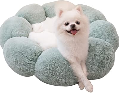 Newstyle plush pet bed, cute, warm and comfortable sofa, bed for soft and thick non -slip pets for dogs and cats (size L, green).. DIAYTAR NIGERIA: Connecting every Nigerian with quality products at prices everyone can afford.