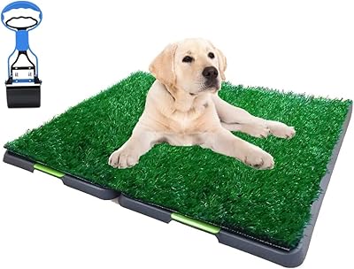 MOFISH Grass carpet for dogs with tray, artificial dog lawn, cleanliness training carpet for interior and exterior use, washable spare carpet for puppy and pet with animal dropping tools (A-Large with tray).. Transform your online shopping experience with DIAYTAR NIGERIA's affordable and diverse marketplace.