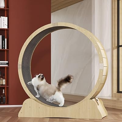 Mofish treadmill for cat exercise wheel for large racing interior chat with track.. Shop with purpose at DIAYTAR NIGERIA, where your money goes further and delivery is always prompt.