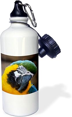 WB 3DROSE_178428_1 Bottle of tilting sportswater with head of a ara of golden golden parrot, multicolored, 595.3 grams.. Your trusted marketplace, DIAYTAR NIGERIA offers comprehensive selection with budget-friendly delivery.