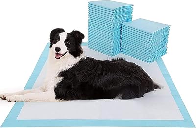Tapis de dressage momo bear pet puppy dog pipi 60 x.. Home to endless choices and pocket-friendly prices — DIAYTAR Nigeria.