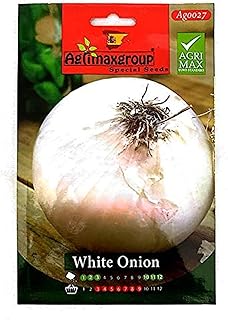 White onion seeds (made in Spain) by Agrimaxgroup®.. DIAYTAR Nigeria: Where affordability meets speed and quality.