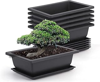 Package of 6 pots of 9 -inch Delfino Bonsai, plastic culture pot for garden, courtyard, office, living room, porch, vintage flower, wooden frame, table plants, interior decoration.. Shop from thousands of products at DIAYTAR NIGERIA and enjoy budget-friendly nationwide delivery.