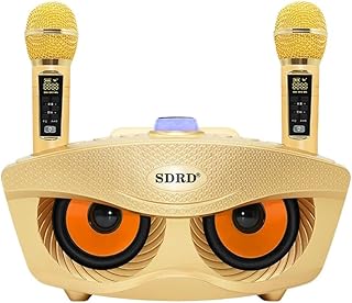 Karaoke reader Crony SD306 Plus 30 W Double Bluetooth 4.2 Family stereo speaker KTV Grand speaker with 2 wireless microphones | gold.. Fast, easy, and affordable — that’s shopping the DIAYTAR Nigeria way.