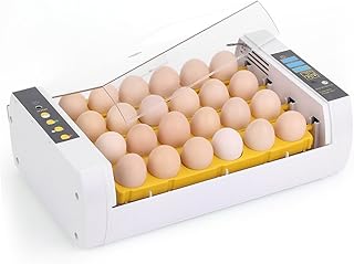 Tom Shine intelligent automatic egg incubator, temperature control of 24 eggs for chicken hatch, duck, bird, quail, poultry ac220v.. DIAYTAR NIGERIA: Your affordable gateway to thousands of products delivered promptly nationwide.