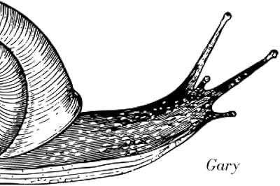 Notebook: Gary the snail by gab - 5 x 8 inch - 100 lines line.. DIAYTAR NIGERIA connects Nigerians with quality products at affordable prices, delivered in 5-8 days nationwide.