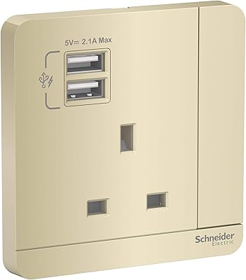 Schneider Electric Avatar on golden socket E8315USB_WG_G12 - Simple 13a integrated socket 2 USB 2,1A ports.. Shop the smart way with DIAYTAR NIGERIA's extensive selection and budget-friendly nationwide delivery.