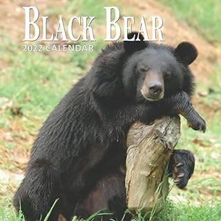 2022 black bear calendar: 16 month old planner (September 2021 to December 2022).. DIAYTAR Nigeria is your reliable online shopping destination offering an extensive range of products across all categories. Enjoy fast nationwide delivery in just 5 to 8 days and some of the lowest prices in the market.