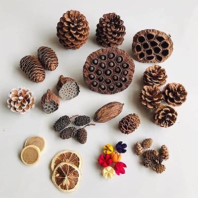 The White Shop Fall Decoration Kit False Oak Wood Baies Natural Pine Flowers False Fruit Decoration, C.. Discover shopping reimagined with DIAYTAR NIGERIA's extensive catalog and 5-8 day delivery service.