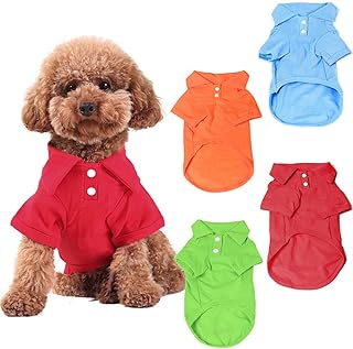 Kingmas - Lot of 4 polo shirts, clothes, coats and highs for puppies and dogs - Size S.. DIAYTAR NIGERIA: Making online retail accessible to all with affordable nationwide shipping.