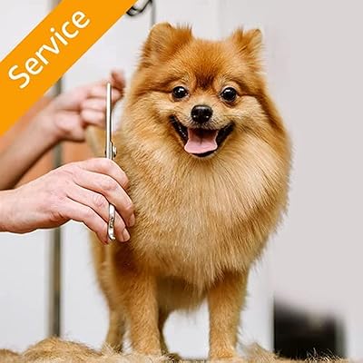 Dog care - Small size (up to 9 kg) - Complete care - Reception and return.. DIAYTAR NIGERIA: Your partner in affordable online retail with reliable delivery across the nation.