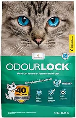 Solving litter for Udorlock cat (40.12 kg).. Every order, every item — DIAYTAR Nigeria delivers fast and reliably.