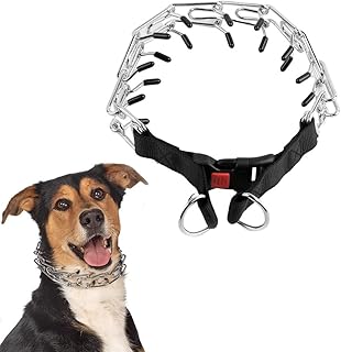 Dressing necklace for large dogs, dressage necklace for large dogs, dog dressing necklace with fast clearance clip for small, medium and large dogs, dressage supplies for pets.. Discover why millions choose DIAYTAR for affordable online shopping with delivery in just 5-8 days.