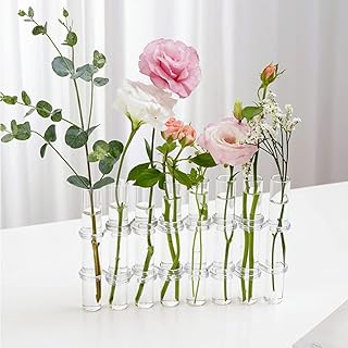 8 Pieces Crystal Glass Test Vases Office Flowers Pats DIY Plants Hydroponic plants for Home Garden Decoration With Brush Terrarium Kit, 15 x 2.2 cm.. DIAYTAR NIGERIA: Your trusted partner for affordable online shopping with reliable delivery timeframes.