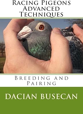 Advanced techniques of passenger pigeons: breeding and mating.. Experience shopping freedom with DIAYTAR NIGERIA's comprehensive marketplace delivered within 8 days.