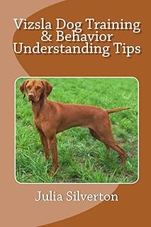 Dressing and understanding advice of the Vizsla dog behavior.. DIAYTAR NIGERIA: Your affordable shopping destination with thousands of products delivered in days.